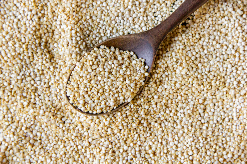 Protéine de quinoa hydrolysée